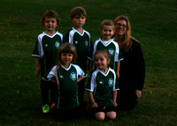 Team