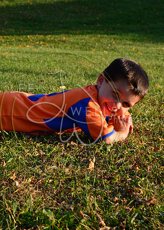 DSC_0232_Comp