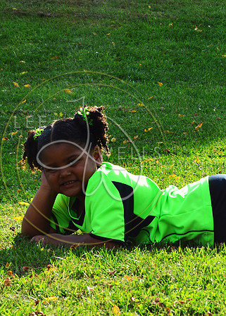 DSC_0029 mem