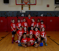 Lions