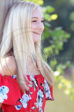 LWP_3799