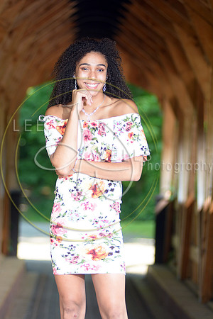 LWP_0668