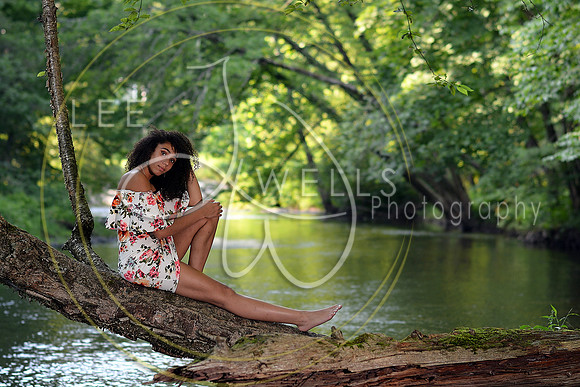 LWP_0727