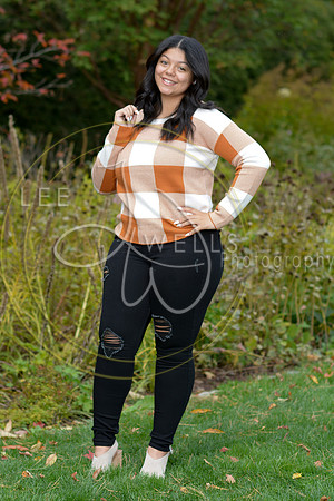 LWP_8617
