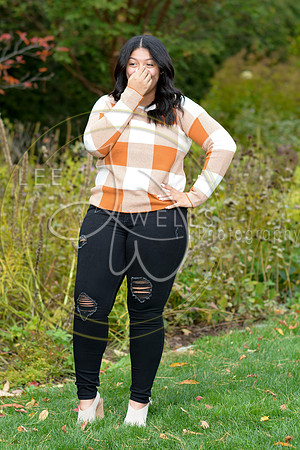 LWP_8620