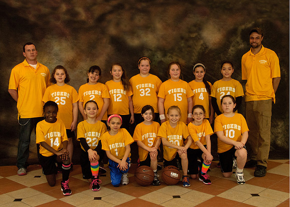 Tigers 3x4 5x7