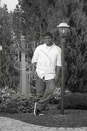 LWP_7955_1